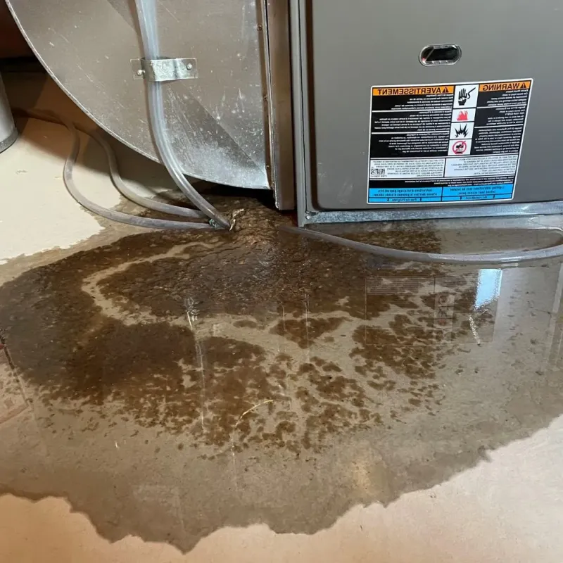 Pipe Burst and Leak Restoration in Elk Ridge, UT